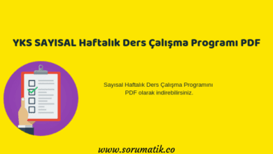 YKS TYT AYT Sayısal Haftalık Ders Çalışma Programı PDF