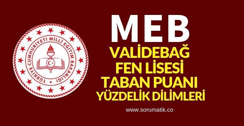 İstanbul Validebağ Fen Lisesi Taban Puanı Yüzdelik Dilimi 2018-2019