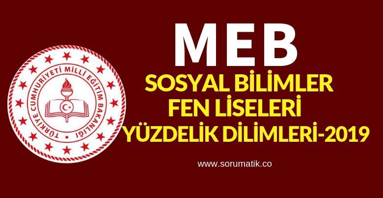 Sosyal bilimler ve Fen Liseleri Yüzdelik Dilimleri 2019 (En Güncel MEB Verileri) 20