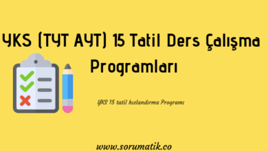 YKS TYT AYT 15 Tatil Ders Çalışma Programları PDF 2