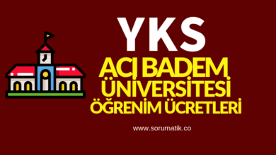 Acıbadem Mehmet Ali Aydınlar Üniversitesi Öğrenim Ücretleri-2019