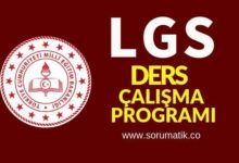 LGS Ders Çalışma Programı PDF 2