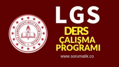 LGS Ders Çalışma Programı PDF 2