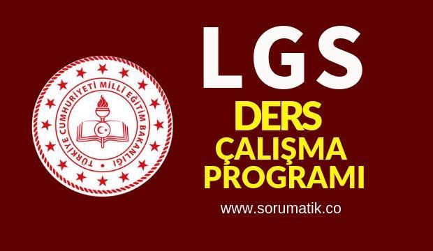 LGS Ders Çalışma Programı PDF 2