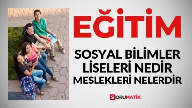 Sosyal Bilimler Lisesi Nedir, Sosyal Bilimleri nerede var ve Meslekleri nedir