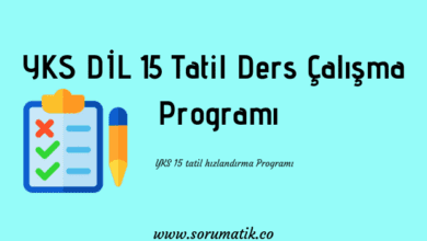 YKS YDT Dil 15 Tatil Çalışma Programı